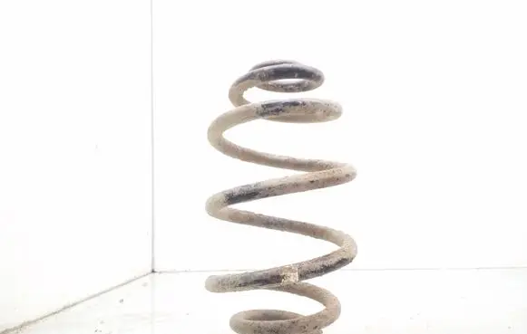 Volkswagen PASSAT B5 Rear coil spring
