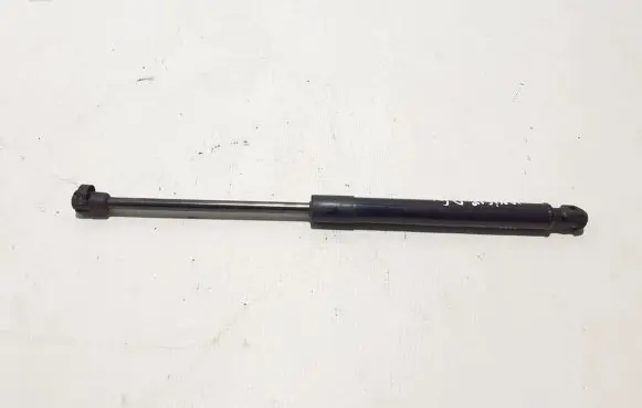 Tailgate strut