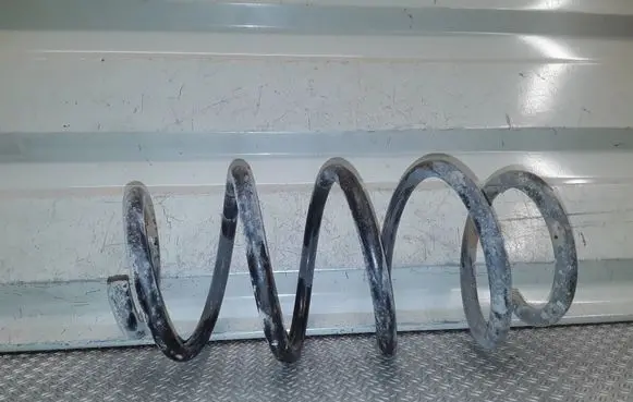 Volkswagen Polo IV 9N3 Front coil spring 