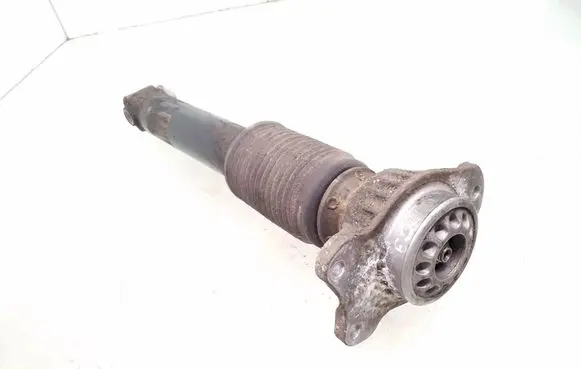 Rear shock absorber/damper