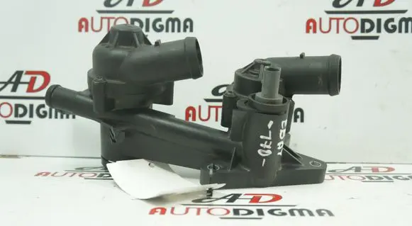 Thermostat/thermostat housing