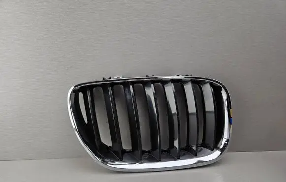 BMW X5 E53 Front bumper upper radiator grill 7113734 51137113734