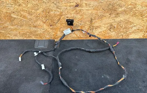 BMW X2 F39 Front door wiring loom 9442471 11107811 BFTT398T3