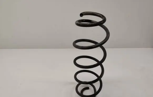 Rear coil spring