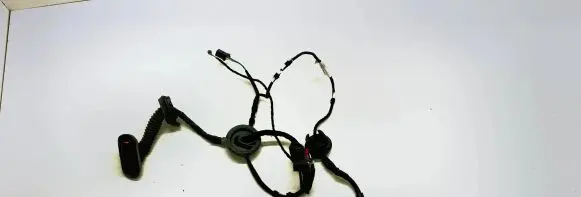 Front door wiring loom
