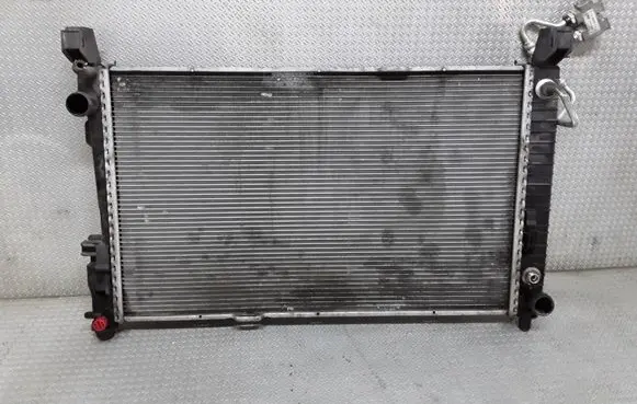 Mercedes-Benz A W169 Coolant radiator A1695001803