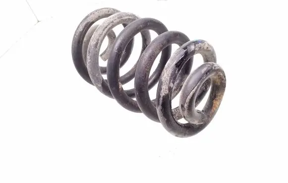 Rear coil spring