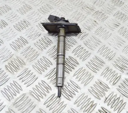 Audi Q7 4L Fuel injector 0445116023 059103113E