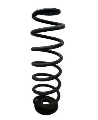 Volkswagen PASSAT B7 Rear coil spring