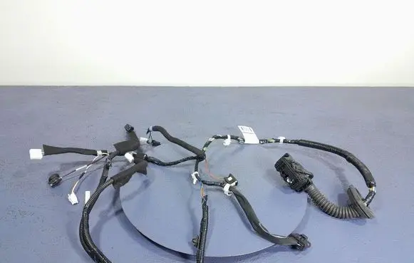Other wiring loom