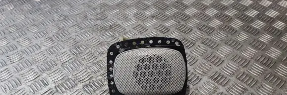 Dodge RAM 1500 DS Front door interior light 