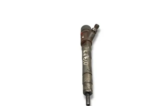Fiat Ducato Fuel injector 0445110418 504389548