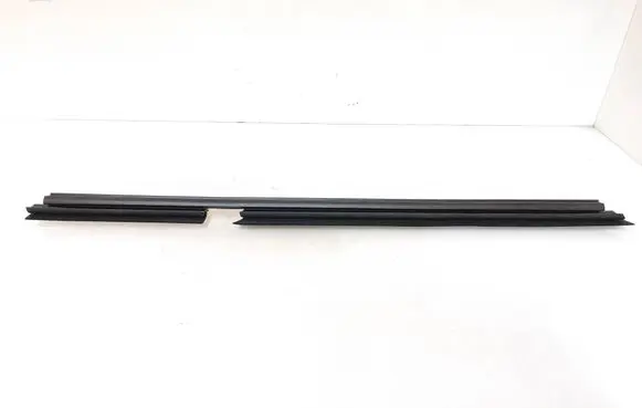 BMW X4 G02 Rubber seal rear door window/glass 7433107