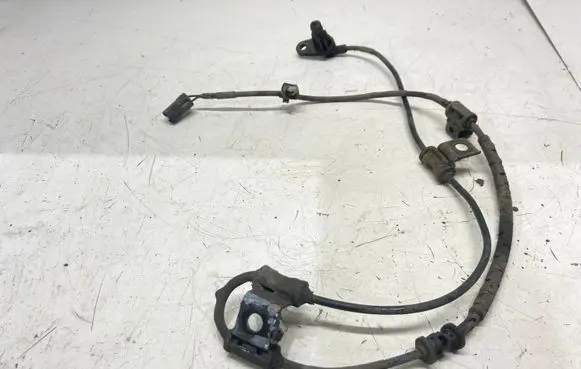 KIA Sportage Other wiring loom 956703W300