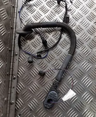 Rear door wiring loom