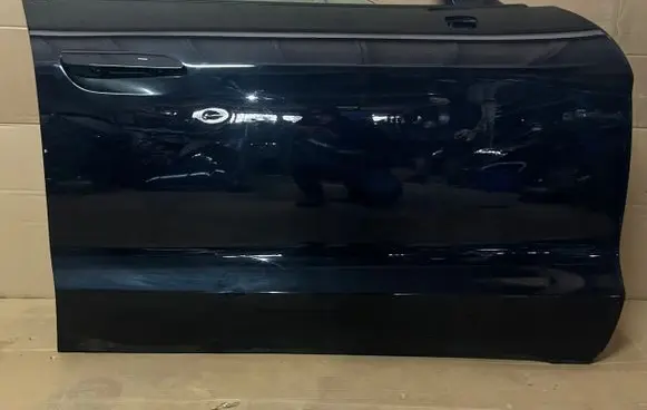 Porsche Taycan 9J1 Front door D437