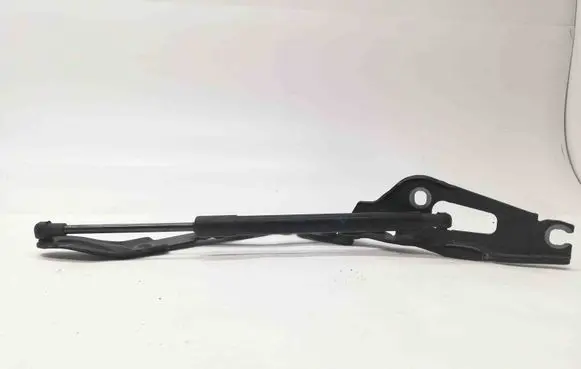 Tailgate/trunk/boot hinge