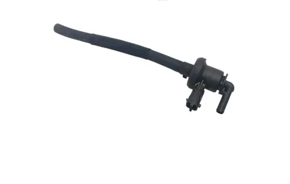 Hyundai i20 (PB PBT) Valve vacuum 2901003000 29010-03000