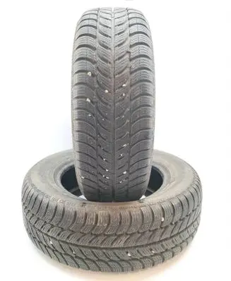 Ford Galaxy R15 winter tire