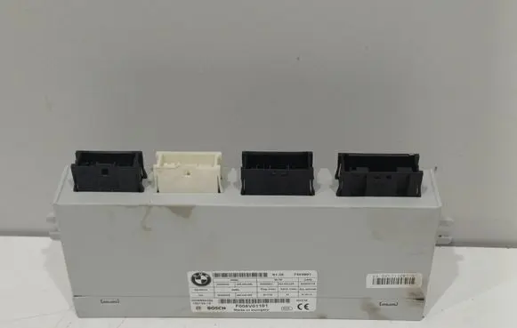BMW 5 F10 F11 Tailgate/trunk control unit/module 7304901 0008994304 F005V01101