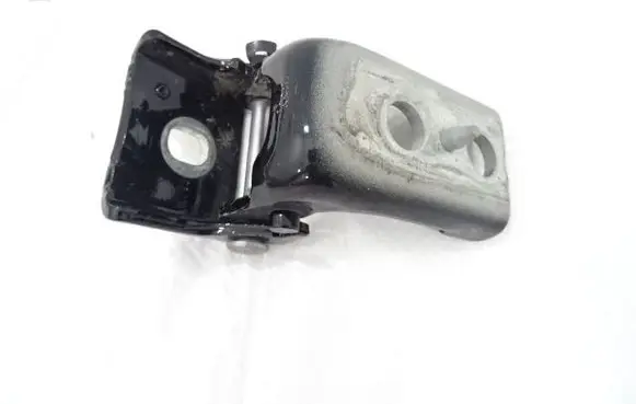Rear door lower hinge