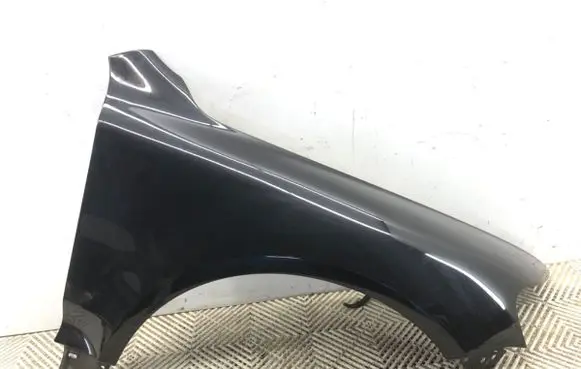 Volkswagen Touareg I Fender