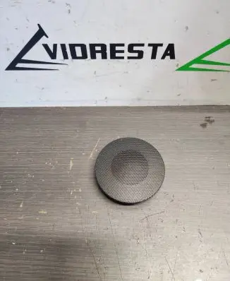 Side speaker trim/cover