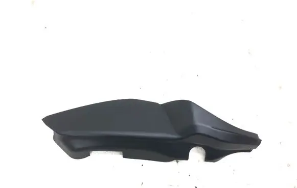Rear/tail light trim molding