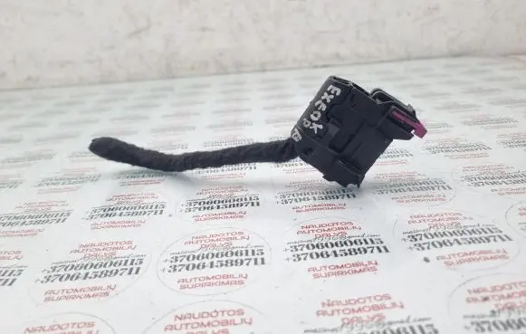 Seat Exeo (3R) Front door wiring loom 8E0972701