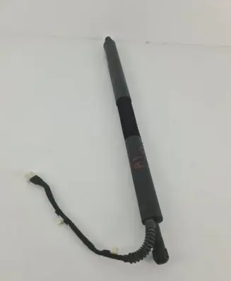 Tailgate strut