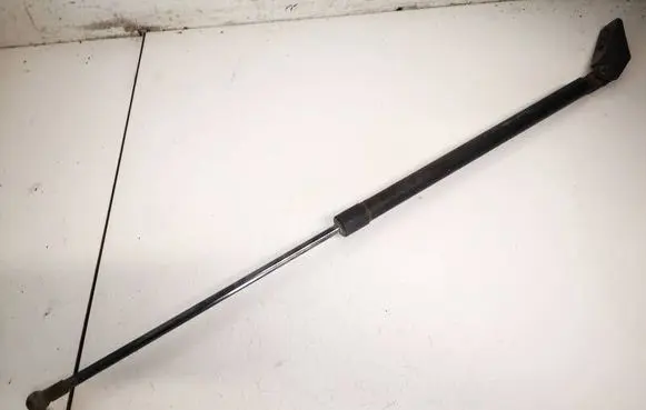 Tailgate/trunk strut/damper