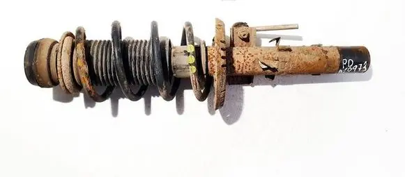 Skoda Roomster (5J) Front shock absorber/damper 