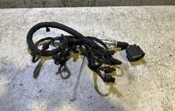 Dodge Challenger Other wiring loom P05036580AA V2200S0432