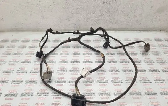 Volkswagen PASSAT B7 Other wiring loom 3AA971095AE