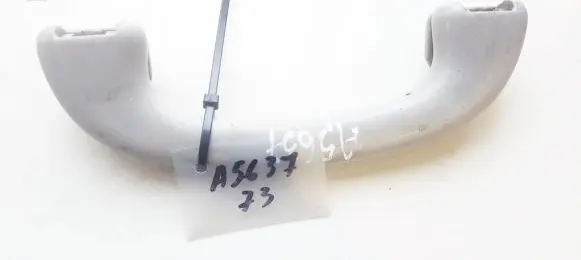 Front interior roof grab handle