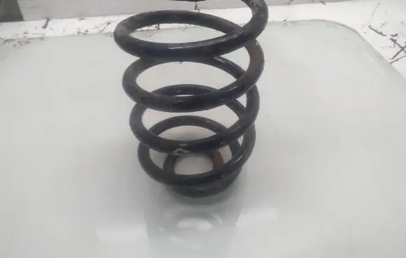 Opel Vectra C Rear coil spring
