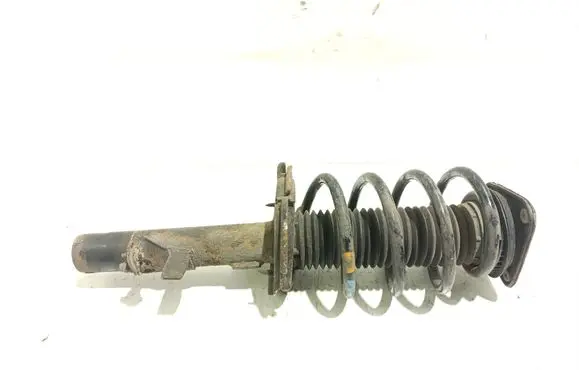 Ford Connect Front shock absorber with coil spring