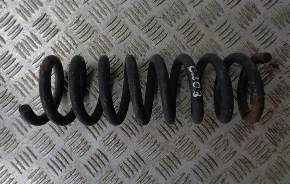 Rear coil spring