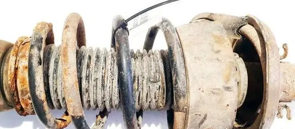 Volkswagen Bora Front coil spring 