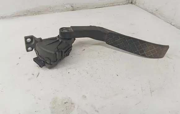 Volkswagen Touareg I Accelerator throttle pedal 7L6721507 6PV00777025