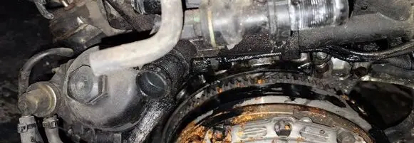 Ford Focus Engine coolant pipe/hose 