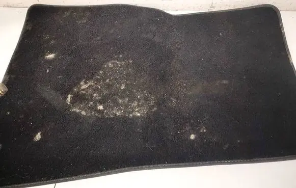 Tesla Model S Front floor carpet liner 