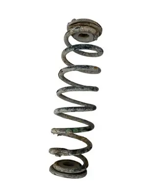 Rear coil spring