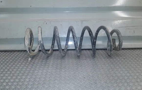 Volkswagen Golf V Rear coil spring 