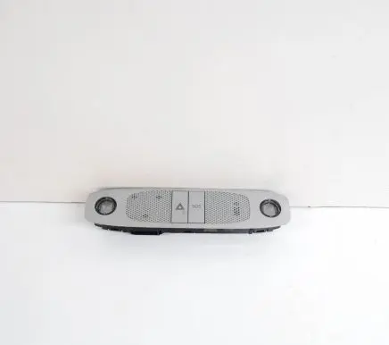 Tesla Model 3 Front seat light 109257299C