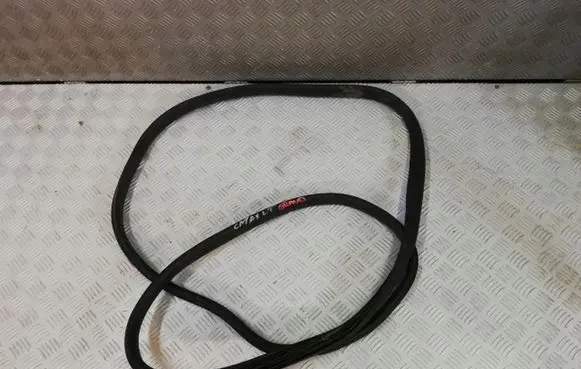 Ford C-MAX II Rubber seal rear door 