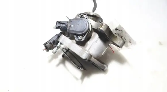 Throttle body valve