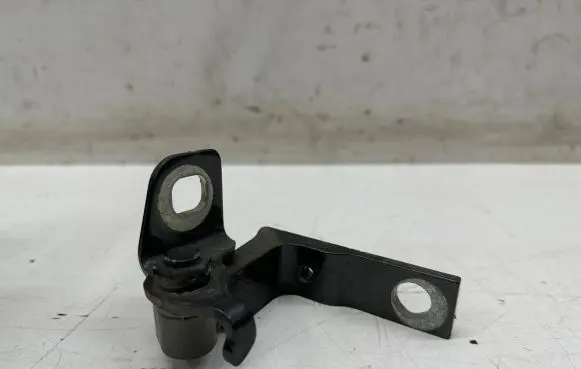 Ford Puma Tailgate/trunk/boot hinge L1TBS26810AB