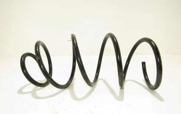 Front coil spring