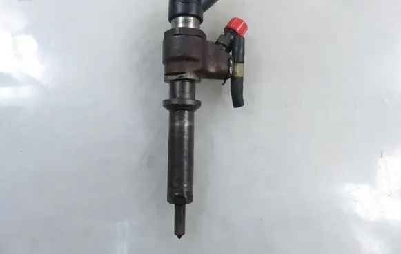 Peugeot Partner Fuel injector 9652173780